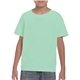 Gildan(R) Heavy Cotton(TM) 5.3 oz T - Shirt - G5000B - Colors