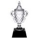 Goodfaire Champions Cup Award