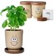 Goofy Grow Plant Pot Eco - Planter w / Basil Seeds