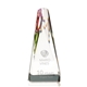 Influential Optical Crystal Award - 2.75 x 6 x 2.75 in