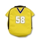 Jersey Lunch Cooler Bag