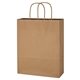 Kraft Paper Brown Shopping Bag - 10 x 13