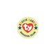 Laminated Plastic Lapel Pin (3/4 Round)