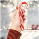 Large Candy Cane w / Label