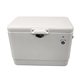 Large Capacity Quart Cooler