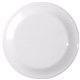 Large Dicus Frisbee
