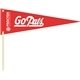 Large Pennant - Paper Products