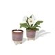 Modern Sprout(R) Glow Grow Live Well Gift Set