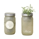 Modern Sprout(R) Indoor Herb Garden Kit