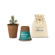 Modern Sprout(R) One For One Tree Kits - Spruce