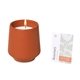 Modern Sprout(R) Rooted Candle - Sienna / Rosemary