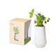 Modern Sprout Tapered Tumbler Grow Kit