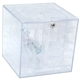 Money Maze Cube Bank - Blue or Clear