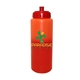 mood(tm) 32 oz sports bottle with push n pull cap, full color digital