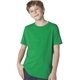 Next Level Youth Boys Cotton Crew - 3310 - COLORS