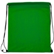 Non - Woven Drawstring Backpack