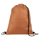 Non - Woven Shimmer Drawstring Backpack