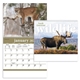 North American Wildlife Calendar