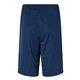 Oakley - Team Issue Hydrolix 9 Shorts