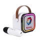 PartyWave Portable Karaoke System