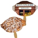 Pie Sandwiched Hand Fan Full Color - Paper Products