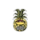 pineapple - die cut magnets