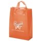 Plastic Zeus Bag w / Foil Print