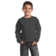 Port Company Youth Crewneck Sweatshirt