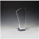 Progressive Award - 4-3/4 X 9-1/2