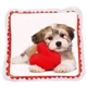 Puppy Love Square Aqua Pearls(TM) Hot / Cold Pack