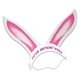Rabbit Ears W / Elastic Band - Paper Products