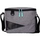 recycled lunch cooler