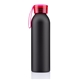Regis Aluminum Bottle