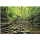 Scenic America(R) Executive - White Ad Calendar