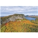 Scenic America(R) Executive - White Ad Calendar