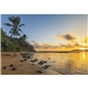 Scenic America(R) Executive - White Ad Calendar