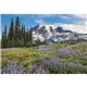 Scenic America(R) Executive - White Ad Calendar