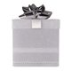Silver LED Morphing Color Gift Box