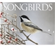 Songbirds Appointment Calendar - Stapled
