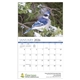 Songbirds Appointment Calendar - Stapled