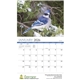 Songbirds Appointment Calendar - Stapled