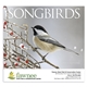 Songbirds Appointment Calendar - Stapled