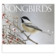 Songbirds Appointment Calendar - Stapled