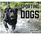 Sporting Dogs - Stapled