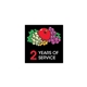 Square Laminated Plastic Lapel Pin (1x1)