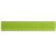 Standard 6- inch Plastic Ruler