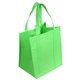 Sunbeam Jumbo Non - Woven Shopping Bag