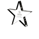 Acrylic Star Shape Award