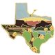 Texas State Shaped Cutting and Serving Board with Artwork by Summer Stokes