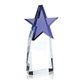 Jaffa Optical Crystal Top Star Award